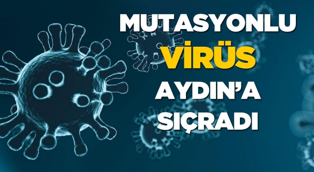 Aydın'da 5 Kişide Mutasyonlu Virüs Görüldü!