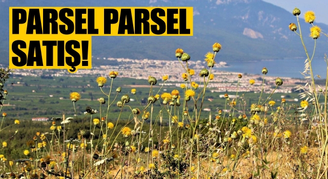 İmarın Önü Açıldı, Kuşadası Parsel Parsel Satışa Çıktı!