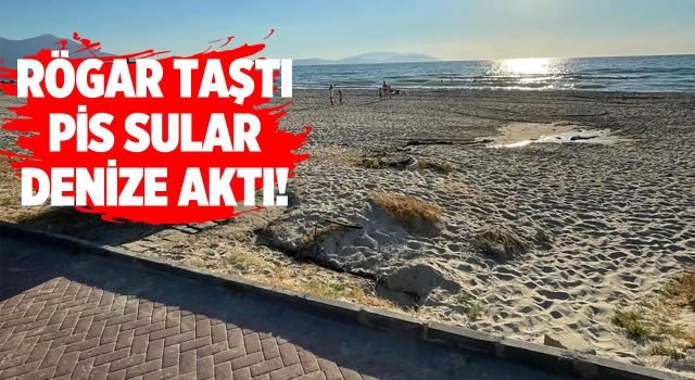 Kuşadası Sahilinde İnanılmaz Görüntü!