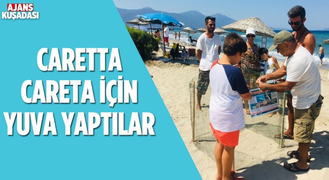 Kuşadası'nda Caretta Caretta Plaja Yuva Yaptı