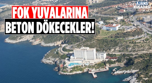 Kuşadası'nda Şok! Çevreciler Yetkililere Seslendi!