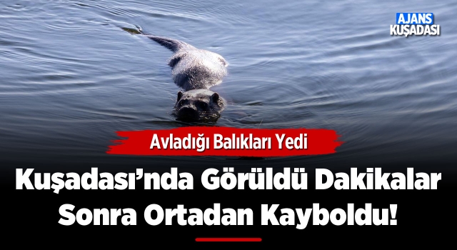 Kuşadası'nda Görüldü O Anlar Kaydedildi!