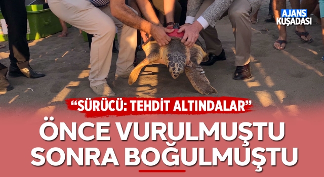 Caretta Caretta Önce Vurulmuştu, Sonra Boğulmuştu!