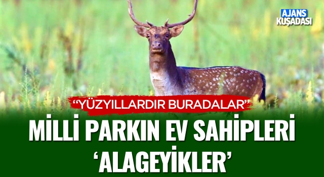 Milli Park'ın Ev Sahipleri; Alageyikler