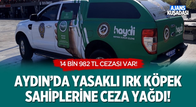 Aydın'da Yasaklı Irk Köpek Sahiplerine Ceza Yağdı!