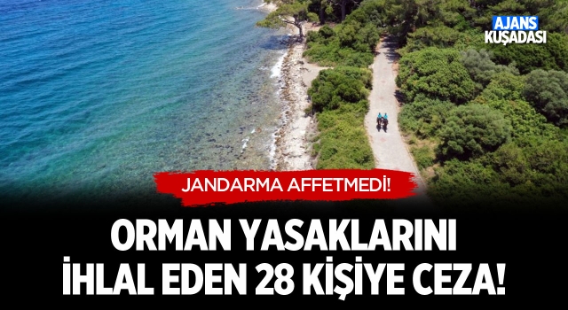 Aydın'da Orman Yasaklarını İhlal Eden 28 Kişiye Ceza!