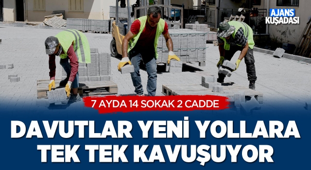 Davutlar Yeni Yollarına Tek Tek Kavuşuyor