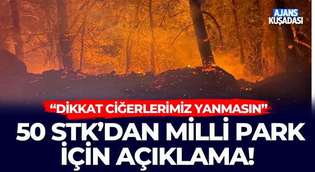 50 STK'dan Milli Park İçin Açıklama!