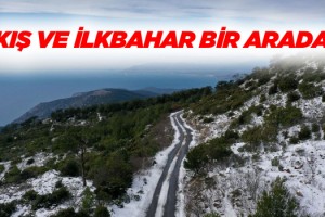 Kuşadası Dilek Yarımadası Milli Parkı'nda Kış ve İlkbahar Bir Arada