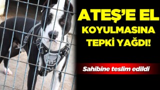 Kuşadası'nda Ateş’e El Konulmasına Tüm Türkiye’den Tepki Yağdı!