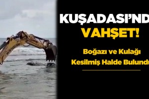 Kuşadası'nda Denizde Vahşet!