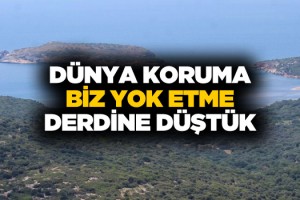 Midye Çiftlikleri Gözlerini Milli Park Kıyıları’na Dikti!