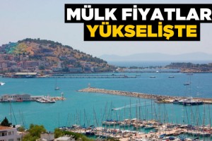 Talepler Arttıkça Mülk Fiyatları ve Konut Kiraları Yükselecek