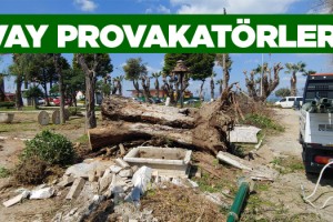 Kasım Yaman Parkındaki Kıyımı Soranlar “Provakatör İlan Edildi!