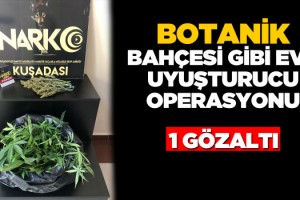 Kuşadası'nda Saksıda Ekilmiş Hint Keneviri Ele Geçirildi!