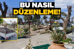 Yeşil Düşmanlığında Sınır Kalmadı!