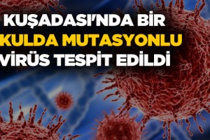 Yüz Yüze Eğitime Açılan Okulda “Mutasyonlu Virüs” Tespit Edildi!