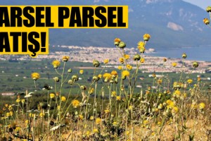 İmarın Önü Açıldı, Kuşadası Parsel Parsel Satışa Çıktı!