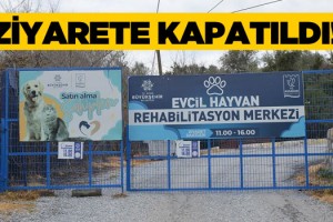 Kuşadası Hayvan Rehabilitasyon Merkezi Ziyarete Kapatıldı!