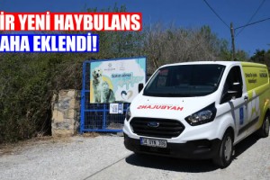 Kuşadası'nda Haybulans Aracı 2'ye Yükseldi