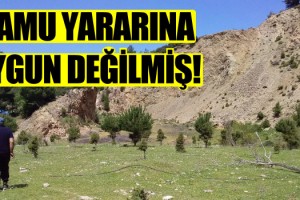Güzelçamlı Öğrenci Ormanına Kurtuluş Raporu!