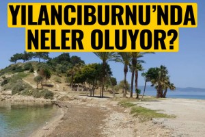 Kendi meclise girdi, Dozerler Yılancı Burnu'na!