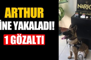 Zehir Ticareti Yapılan Eve Baskın!