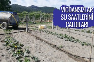 Üretici Susuz Kaldı Çareyi Tankerde Buldu!