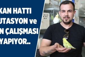 Genç Girişimci Hem Üretiyor, Hem Yetiştiriyor!