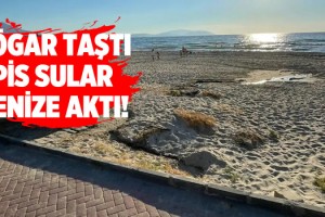 Kuşadası Sahilinde İnanılmaz Görüntü!