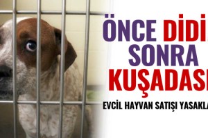 Kuşadası'nda Evcil Hayvan Satışı Yasaklandı!