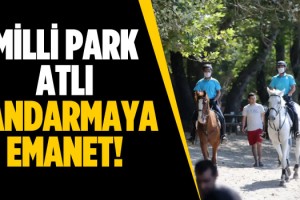 Milli Parkta Koylar Atlı Jandarmaya Emanet!