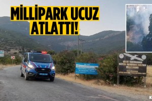 Eski Doğanbey'deki Yangın Milli Parka Sıçramadan Söndürüldü!