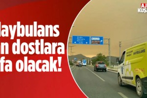 Haybulans Yangın Bölgesine Gitti!