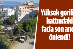 Kuşadası'nda Çıkan Yangın Söndürüldü!