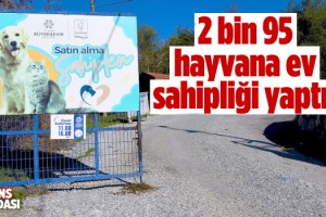 Kuşadası Belediyesi, 9 Ayda 2 bin 95 Can Dosta Ev Sahipliği Yaptı