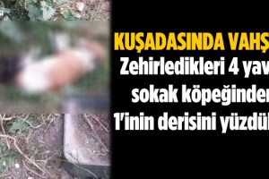 Kuşadası'nda İnsanlık Dışı Vahşet!