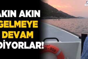 Kuşadası Açıklarında 17 Göçmen Kurtarıldı!