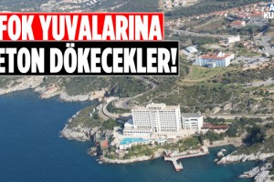 Kuşadası'nda Şok! Çevreciler Yetkililere Seslendi!