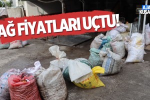 Dolar Uçtu, Yağın Fiyatı Yükseldi!