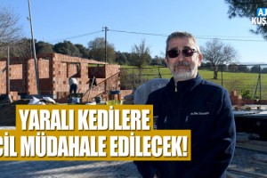 Kuşadası Belediyesi'nden Kedi Tedavi Ünitesi