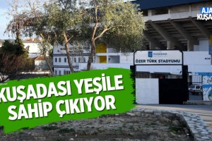 Zeytin Ağaçları Kesilmekten Kurtarıldı