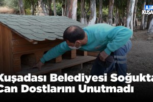 Kuşadası Belediyesi Soğuk Havada Can Dostları Unutmadı