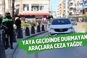 Kuşadası’nda “Yaya Öncelikli Trafik” Uygulaması Yapıldı!