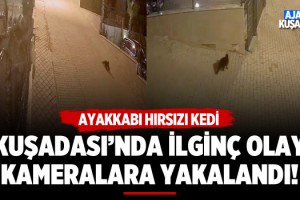 Kuşadası’nda Ayakkabı Hırsızı Kedi Çıktı!