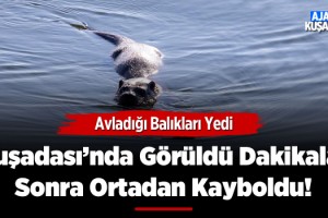 Kuşadası'nda Görüldü O Anlar Kaydedildi!