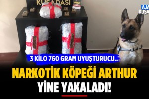 Kuşadası'nda Narkotik Köpeği Arthur Yine Yakaladı!