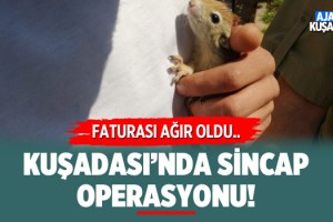 Kuşadası'nda Sincap Operasyonu!