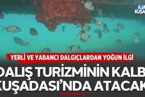 Dalış Turizminin Kalbi Kuşadası'nda Atacak!
