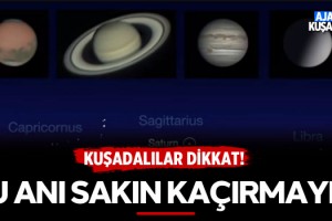 Kuşadalılar Dikkat Bu Anı Sakın Kaçırmayın!